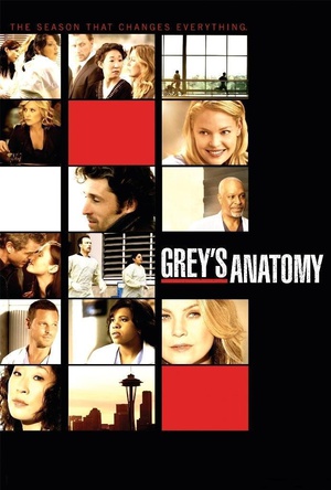 实习医生格蕾 第六季  Grey's Anatomy  (2009)